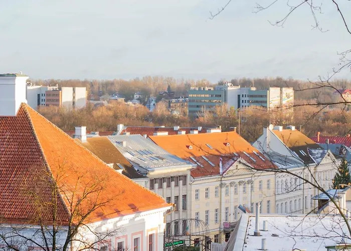 Karlovaidyll 7 - Homey With Free Parking!